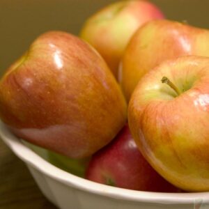 Fruit & Vegetable Garden Plants