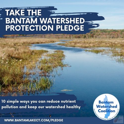 BWC-Pledge-social-graphic