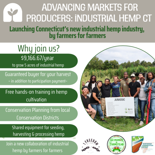 Hemp Program Square Hemp Program Square